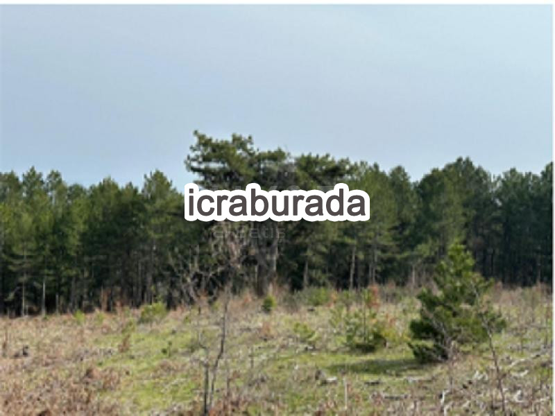 icralık  m2 Tarla Sakarya Pamukova Çilekli