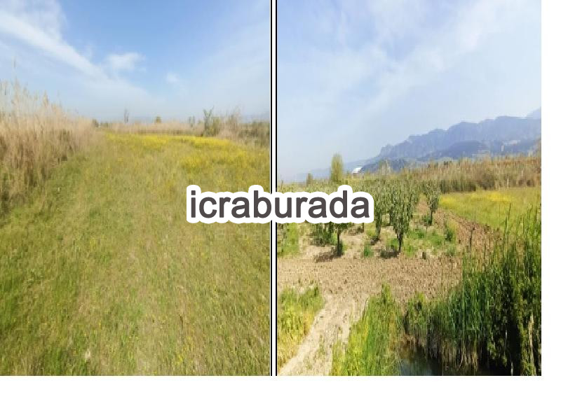 icralık  m2 Tarla Denizli Pamukkale Yeniköy