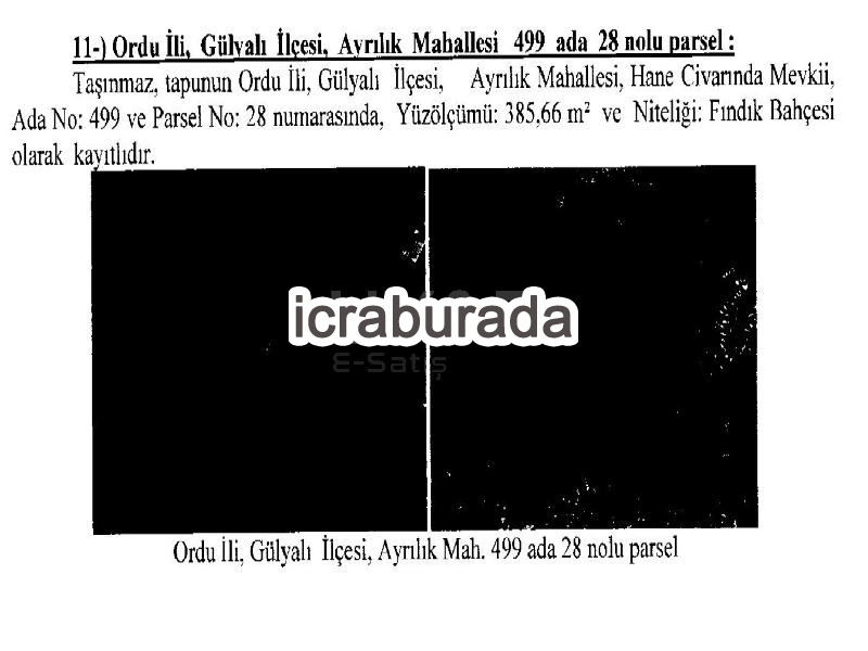 icralık  m2 Diger Ordu Gülyalı Ayrilik