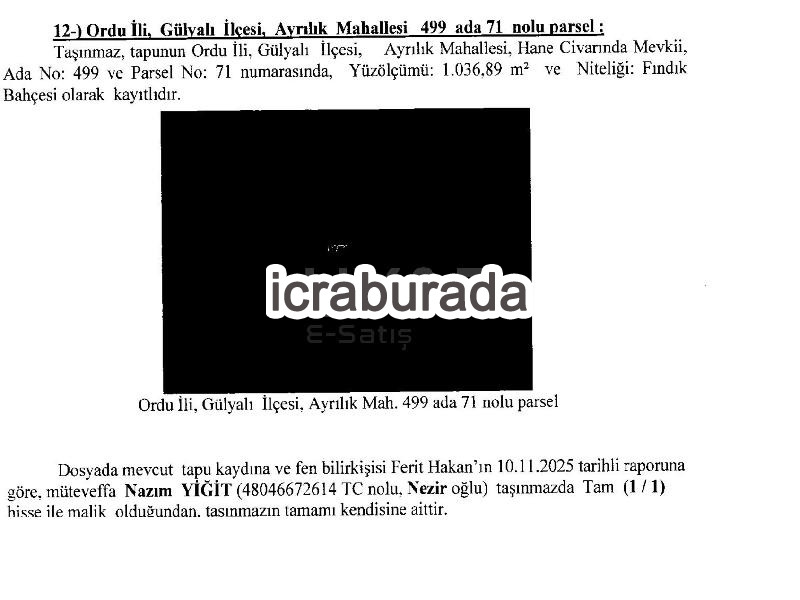 icralık  m2 Diger Ordu Gülyalı Ayrilik