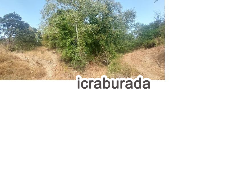 icralık  m2 Tarla Çanakkale Biga Eybekli