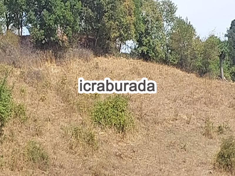 icralık  m2 Tarla Çanakkale Biga Eybekli