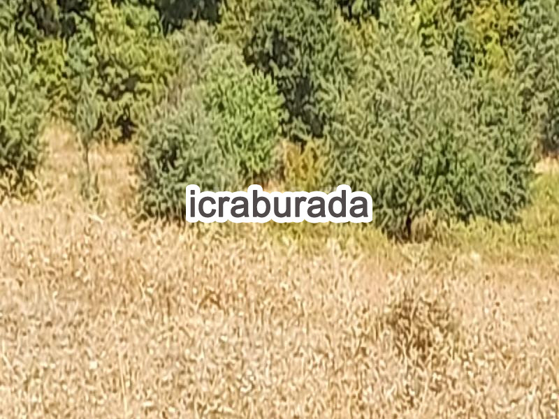icralık  m2 Tarla Çanakkale Biga Eybekli