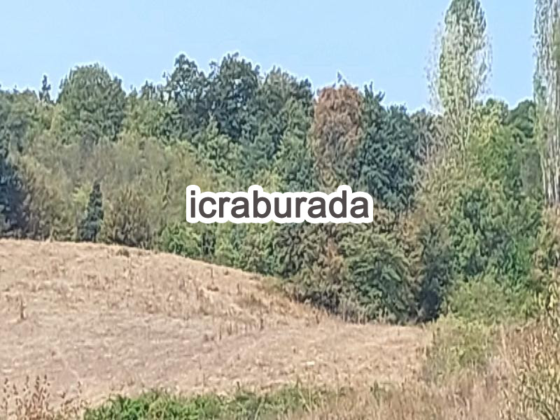 icralık  m2 Tarla Çanakkale Biga Sarikaya