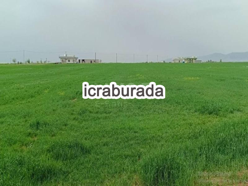 icralık  m2 Tarla Mardin Artuklu Kumlu