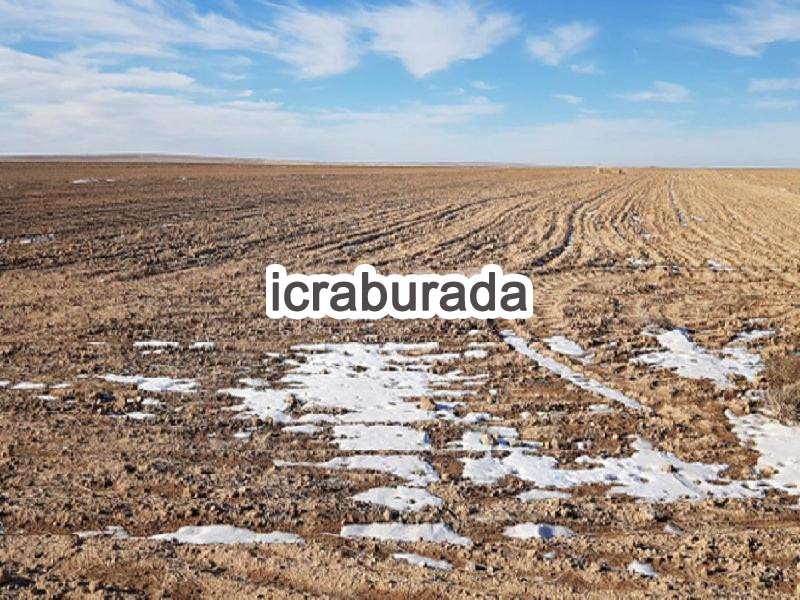 icralık  m2 Tarla Konya Sarayönü Kuyulusebil