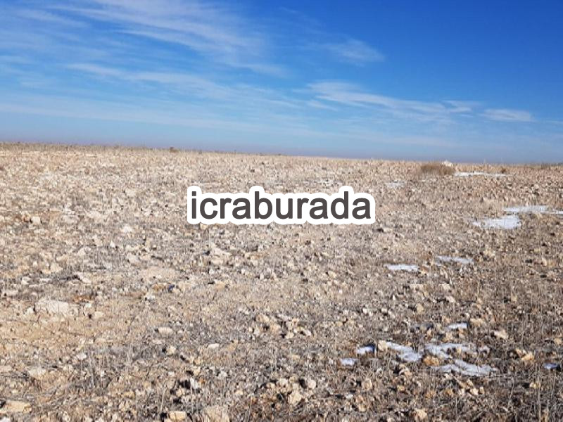 icralık  m2 Tarla Belirtilmedi Belirtilmedi Belirtilmedi
