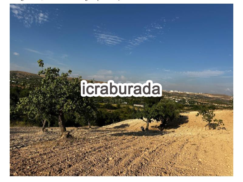 icralık  m2 Tarla Gaziantep Nizip Turlu