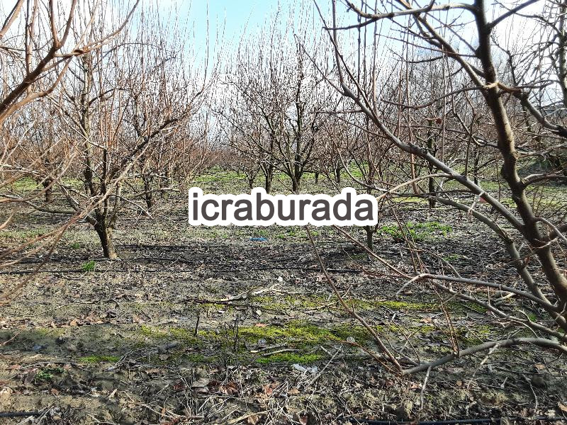 icralık  m2 Diger Çanakkale Lapseki Gazi Süleyman Paşa