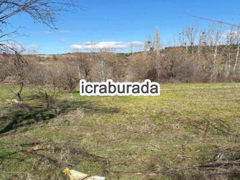 icralık  m2 Tarla Denizli Çal Yukariseyit