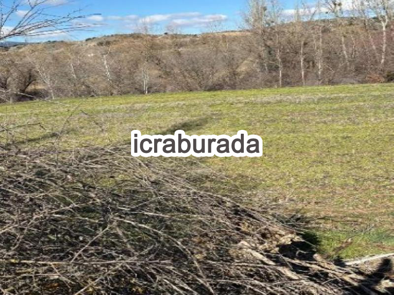 icralık  m2 Tarla Denizli Çal Yukariseyit