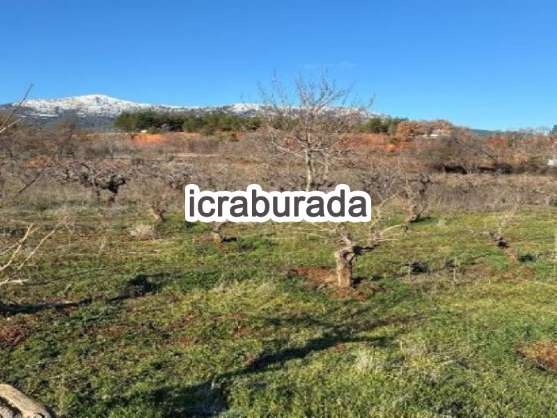 icralık  m2 Tarla Denizli Çal Yukariseyit