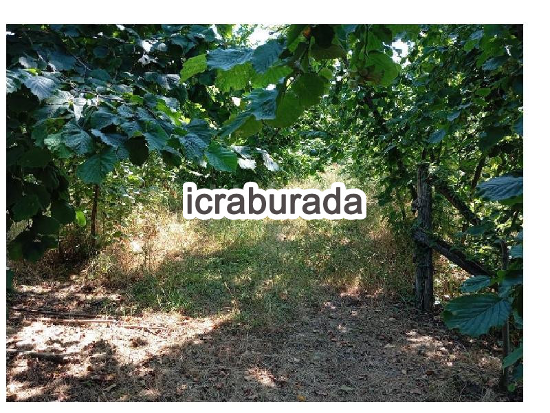 icralık  m2 Bag Sakarya Karasu Karasu