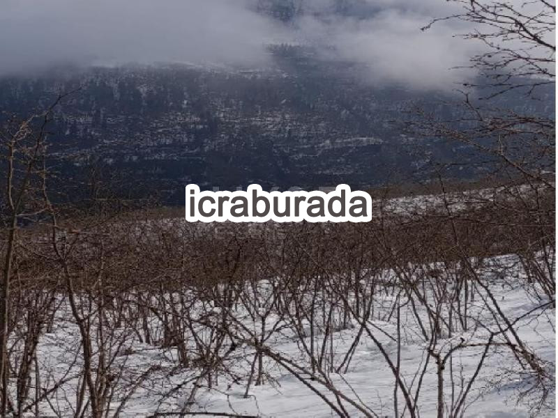 icralık  m2 Diger Ordu Kabadüz Gümüşdere