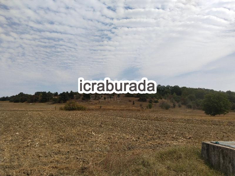 icralık  m2 Tarla Bilecik Merkez Kurtköy