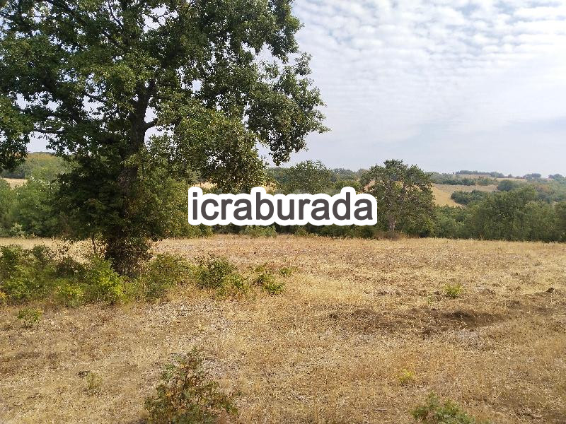 icralık  m2 Tarla Bilecik Merkez Kurtköy
