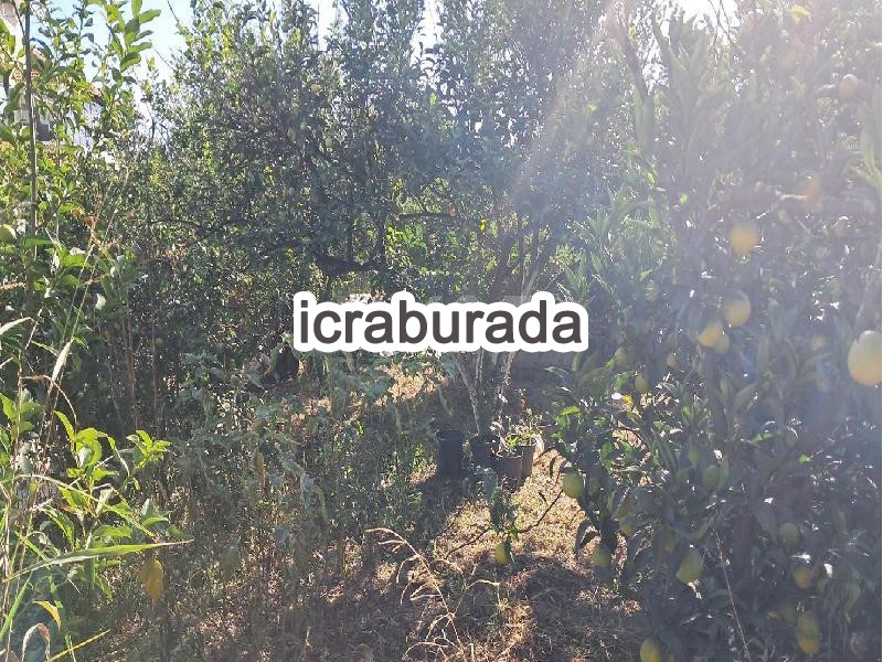 icralık  m2 Diger Muğla Fethiye Esenköy