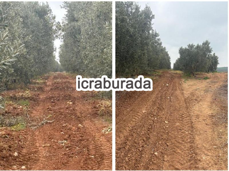 icralık  m2 Tarla Balıkesir Bandırma Hidir