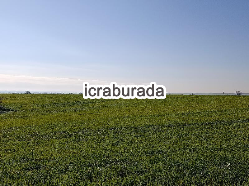 icralık  m2 Tarla Kırklareli Babaeski Cehilli