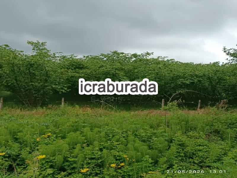 icralık  m2 Tarla Samsun Çarşamba Acikli