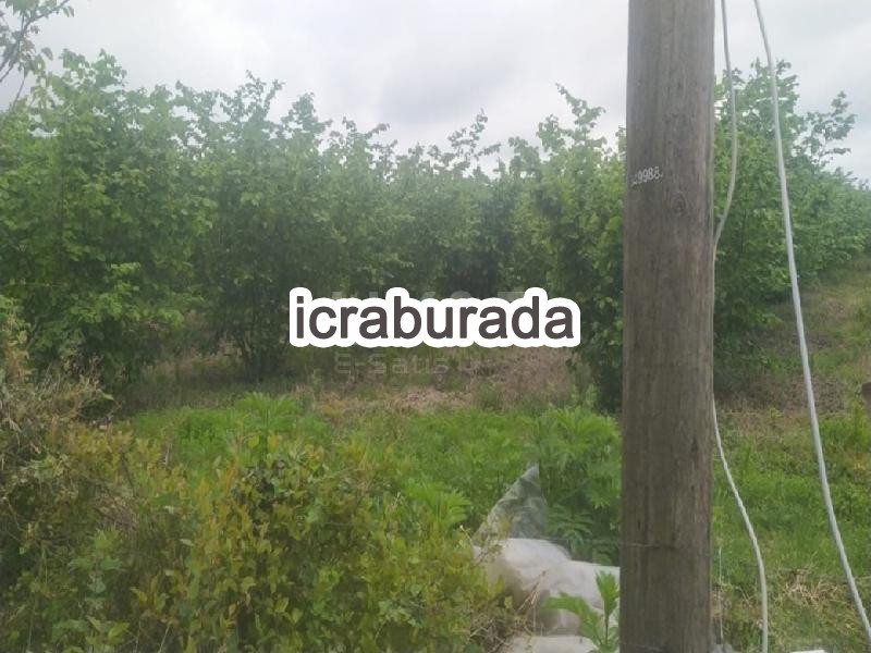 icralık  m2 Tarla Samsun Çarşamba Acikli