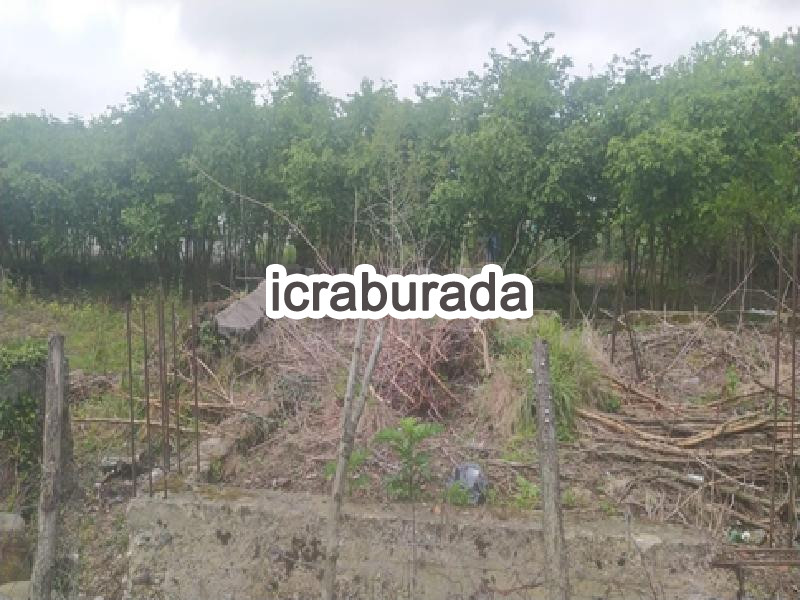 icralık  m2 Tarla Samsun Çarşamba Acikli