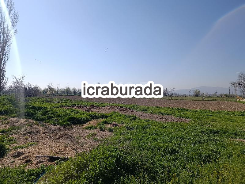 icralık  m2 Tarla Afyonkarahisar Merkez Bayatcik