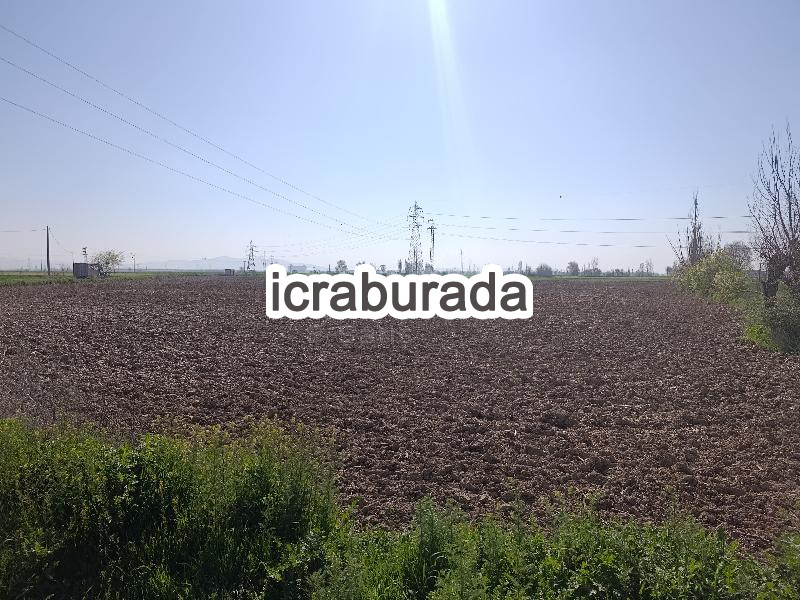 icralık  m2 Tarla Afyonkarahisar Merkez Bayatcik