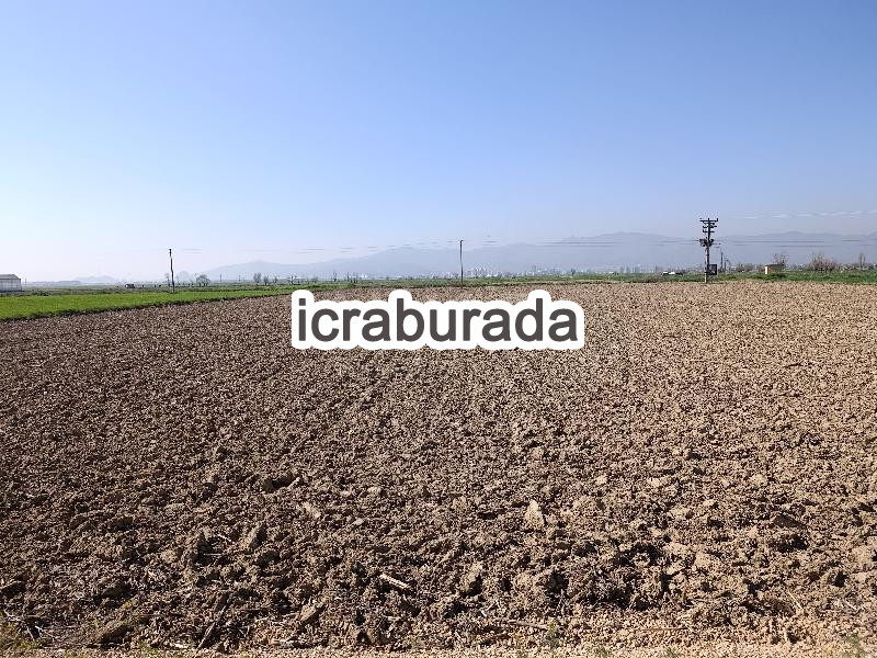 icralık  m2 Tarla Afyonkarahisar Merkez Bayatcik