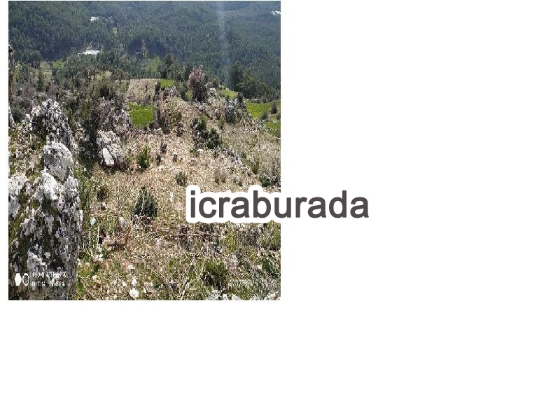 icralık  m2 Tarla Antalya Finike Ernez