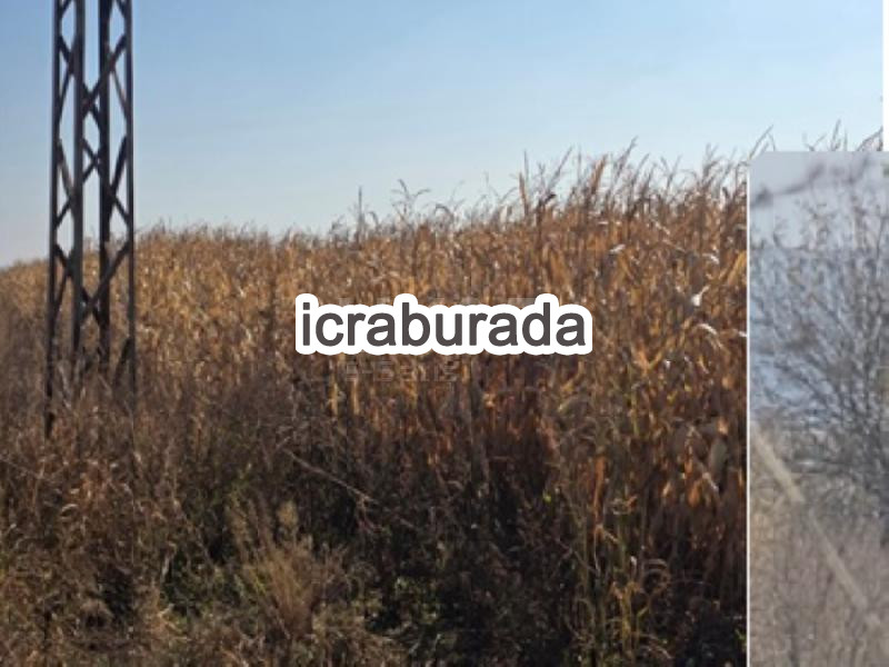 icralık  m2 Tarla Şanlıurfa Suruç Höyükyani