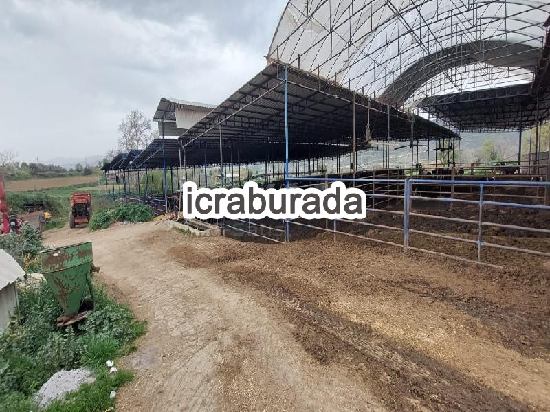 icralık  m2 Tarla İzmir Beydağ Yağcilar