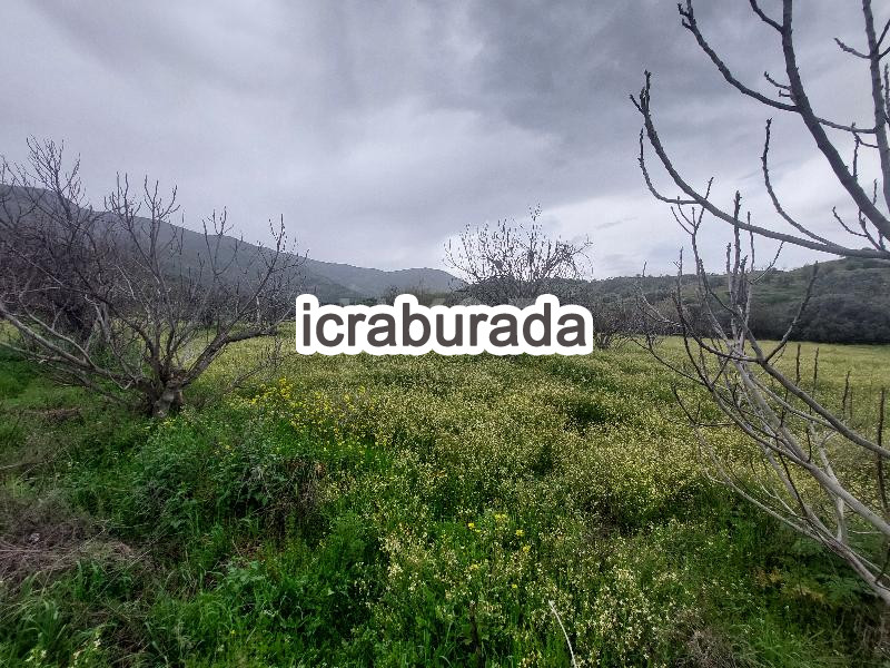 icralık  m2 Tarla İzmir Beydağ Yağcilar