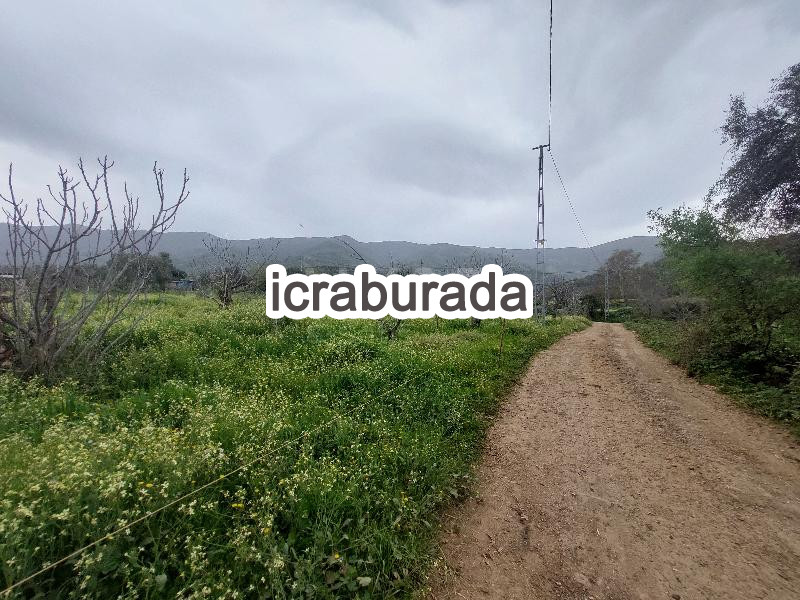 icralık  m2 Tarla İzmir Beydağ Yağcilar