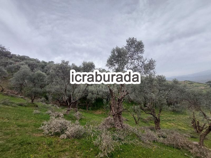 icralık  m2 Tarla İzmir Beydağ Yağcilar