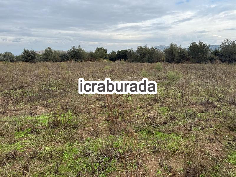 icralık  m2 Tarla İzmir Ödemiş Adagide