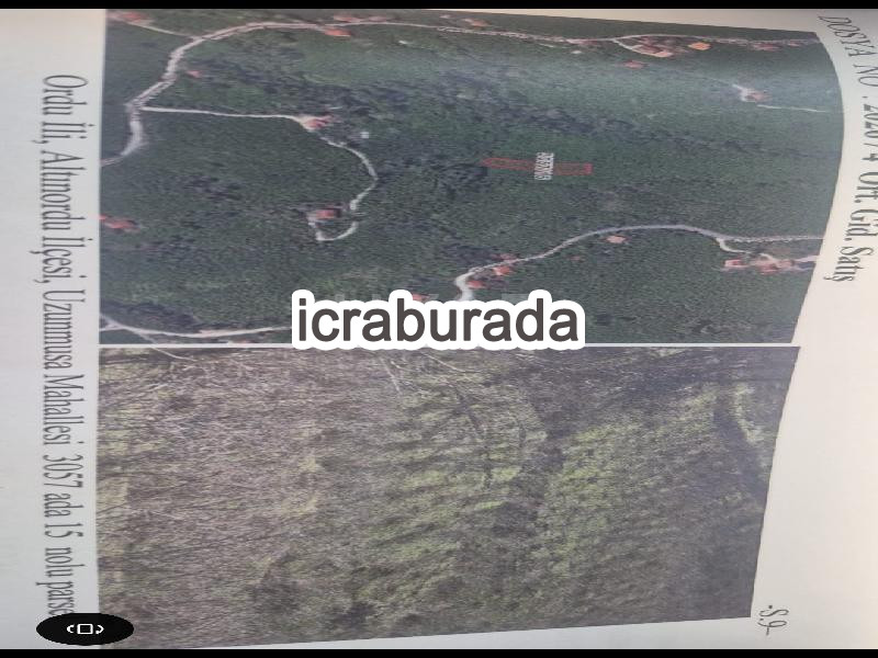 icralık  m2 Diger Ordu Altınordu Uzunmusa