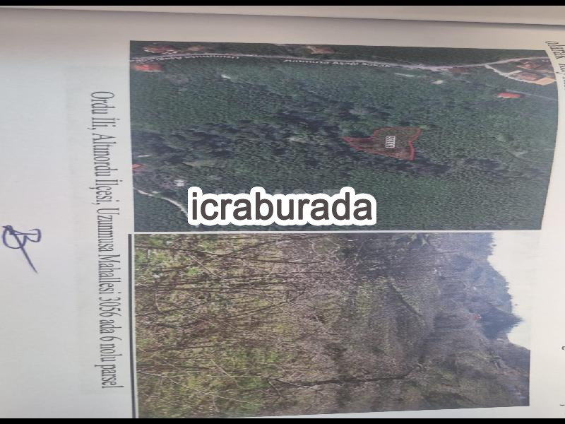 icralık  m2 Diger Ordu Altınordu Uzunmusa