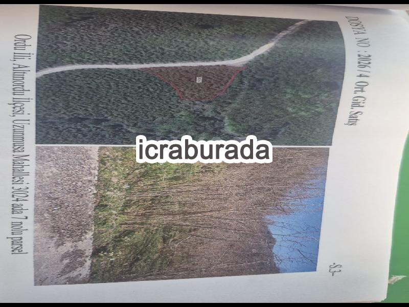 icralık  m2 Diger Ordu Altınordu Uzunmusa