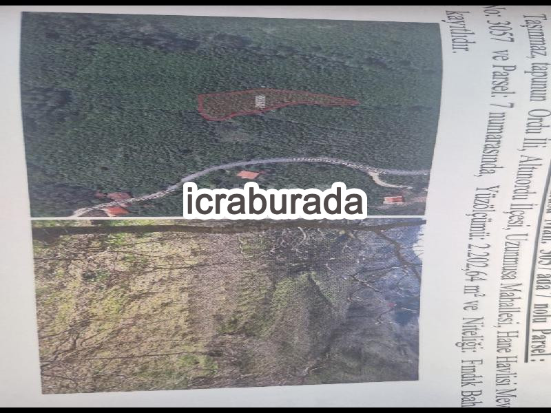 icralık  m2 Diger Ordu Altınordu Uzunmusa