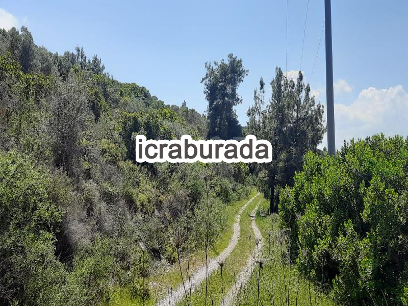 icralık  m2 Diger Muğla Milas Güllük