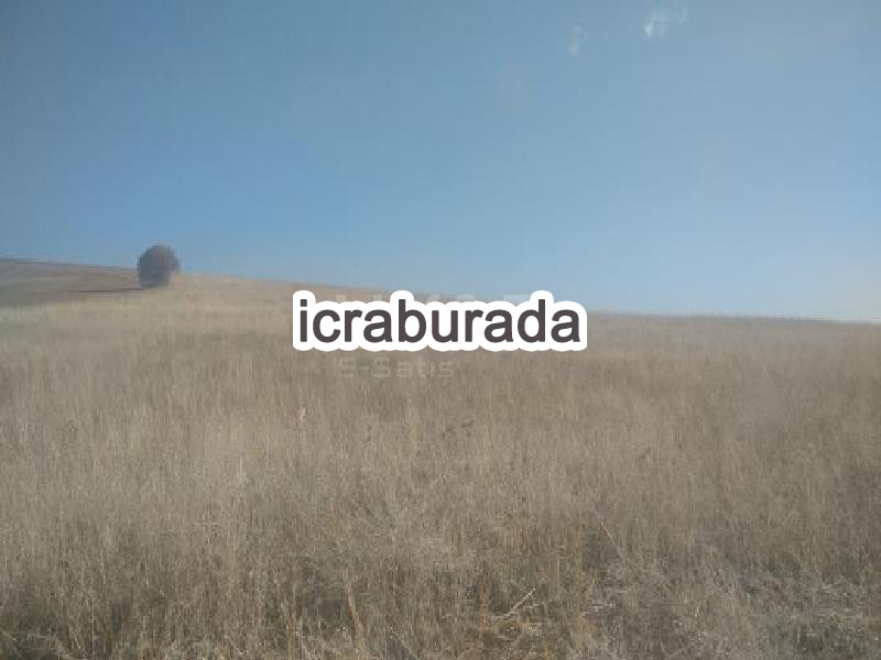 icralık  m2 Tarla Yozgat Merkez Büyükmahal