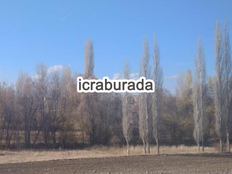 icralık  m2 Diger Yozgat Merkez Büyükmahal