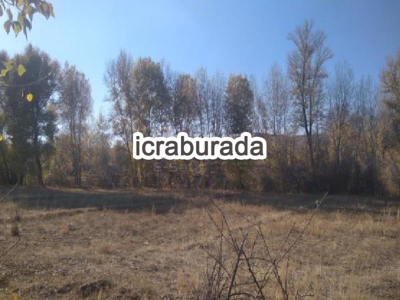 icralık  m2 Tarla Yozgat Merkez Büyükmahal