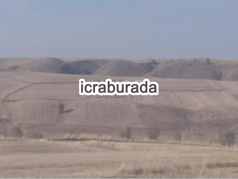 icralık  m2 Tarla Yozgat Merkez Büyükmahal