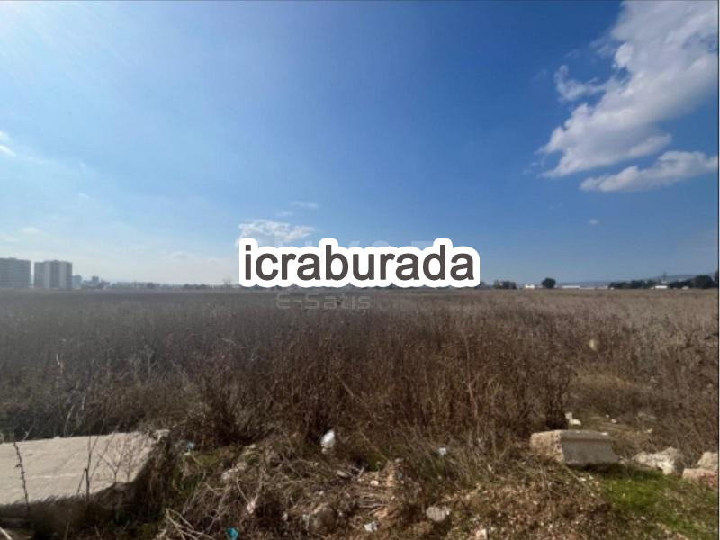 icralık  m2 Tarla Bursa Osmangazi Demirtaş Cumhuriyet