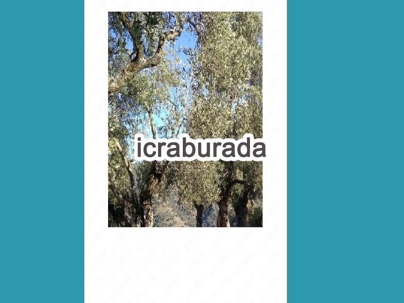 icralık  m2 Tarla Aydın İncirliova Arpadere