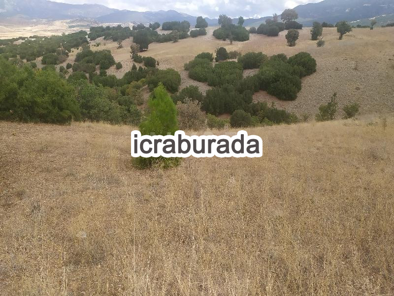 icralık  m2 Tarla Burdur Yeşilova Büyükyaka