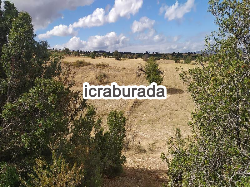 icralık  m2 Tarla Burdur Yeşilova Büyükyaka