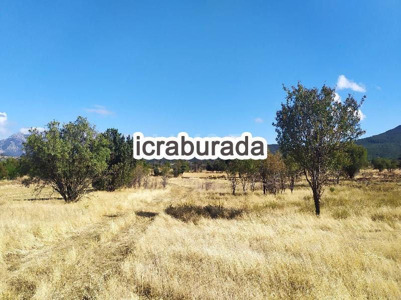 icralık  m2 Tarla Burdur Yeşilova Büyükyaka